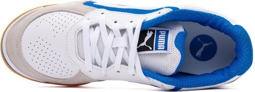 PUMA-Ibero 2-3