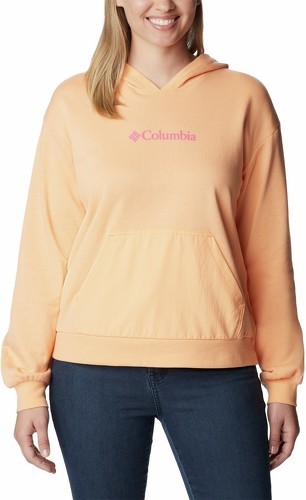 Columbia-Columbia Columbia Logo™ III French Terry Hoodie-image-1