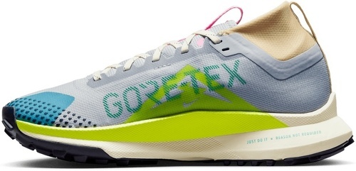 NIKE-Pegasus Trail 4 Gore-Tex-1