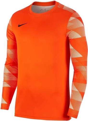 NIKE-Dri-Fit Park 4 - Tenue gardien de football-2