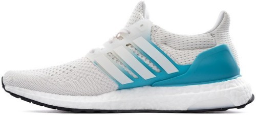adidas Sportswear-Ultraboost 1.0-1