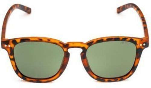 Bliz-Polarized Demi Brounglass-1