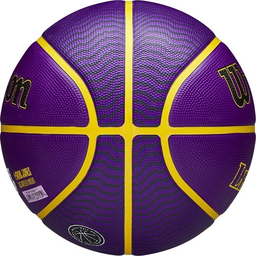 WILSON-Wilson NBA Player Icon LeBron James Outdoor Ball-3