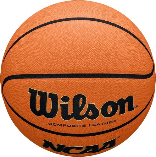 WILSON-Wilson NCAA Evo NXT Replica Game Ball-4