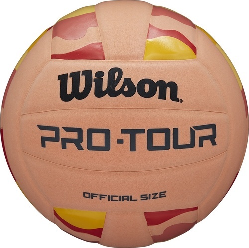 WILSON-Ballon Wilson Pro Tour-image-1