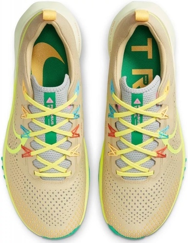 NIKE-Nike Pegasus Trail 4-3