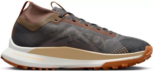 NIKE-Pegasus Trail 4 Gore-Tex-1