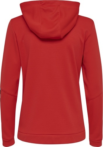 HUMMEL-Hummel Zip Hmlauthentic Poly - Sweat de football-1
