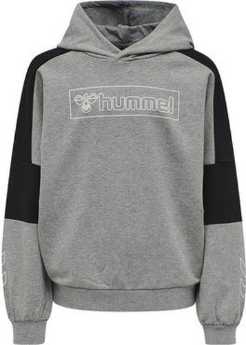 HUMMEL-Boxline - Sweat-2