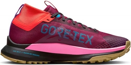 NIKE-Pegasus Trail 4 Gore-Tex-2