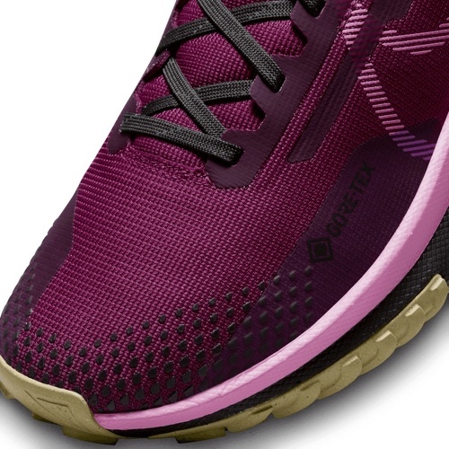 NIKE-Pegasus Trail 4 Gore-Tex-4
