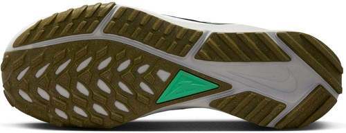 NIKE-Pegasus Trail 4-3