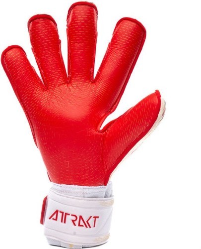 REUSCH-Gants De Gardien Reusch Attrakt Gold X Glueprint-2