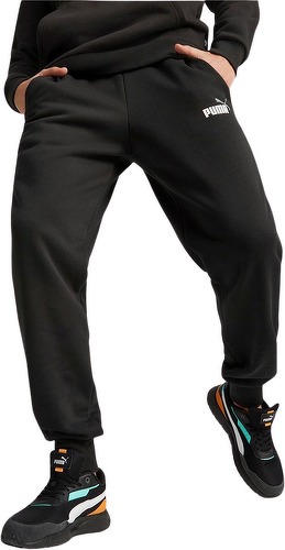 PUMA-ESS+ 2 Col Logo Pants FL cl-2