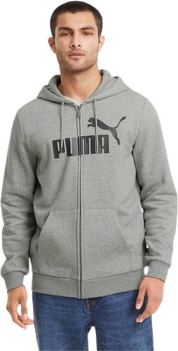 PUMA-ESS Big Logo FZ Hoodie FL-2