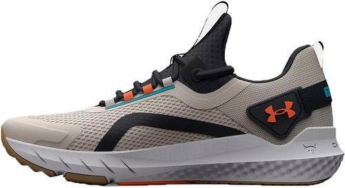 UNDER ARMOUR-UA Project Rock BSR 3-GRY-1