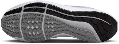 NIKE-Pegasus 40-3