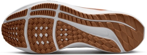 NIKE-Air Zoom Pegasus 39-3