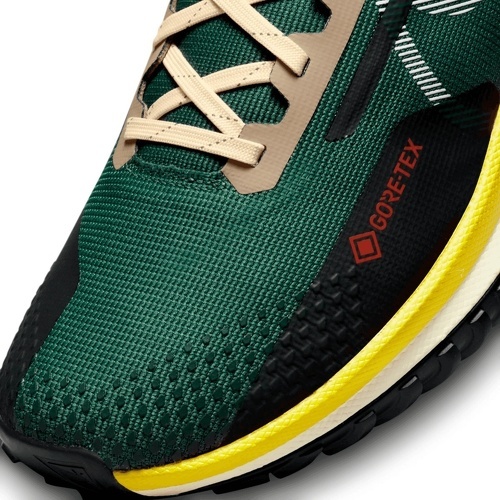 NIKE-Pegasus Trail 4 GORE-TEX-4