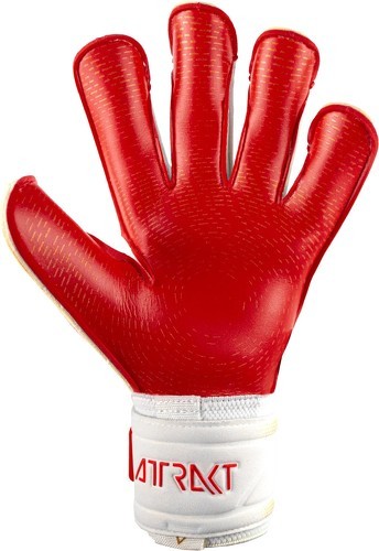 REUSCH-Gants De Gardien Reusch Attrakt Gold X Glueprint-1