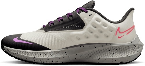 NIKE-Air Zoom Pegasus 39 Shield clair-1