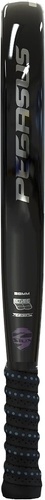 Siux-Siux Pegasus 1K Graphene 2023-2