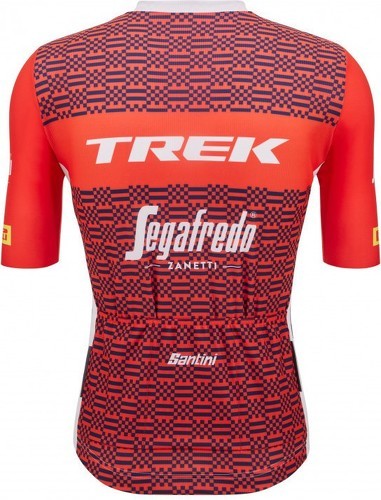 Santini-TREK SEGAFREDO 2023 - MAILLOT-1