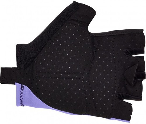 Santini-UCI OFFICIAL - GANTS-1