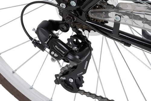 DaCapo-Trekkingrad Damen 28  Zoll Venice 21 Gänge-3