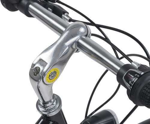 DaCapo-Trekkingrad Damen 28  Zoll Venice 21 Gänge-4