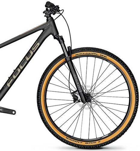 FOCUS-Bike Mountain Bike WHISTLER 3.9-2