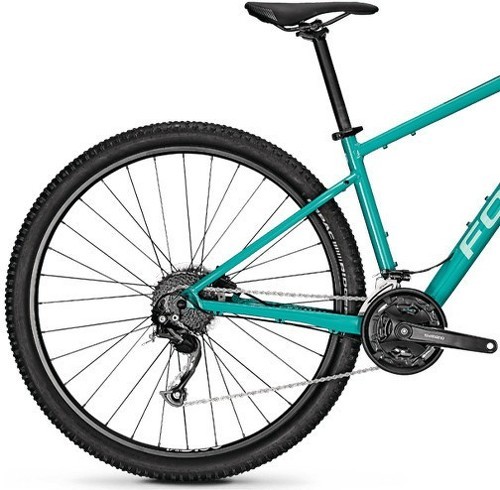 FOCUS-Bike WHISTLER 3.6-1