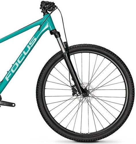 FOCUS-Bike WHISTLER 3.6-2