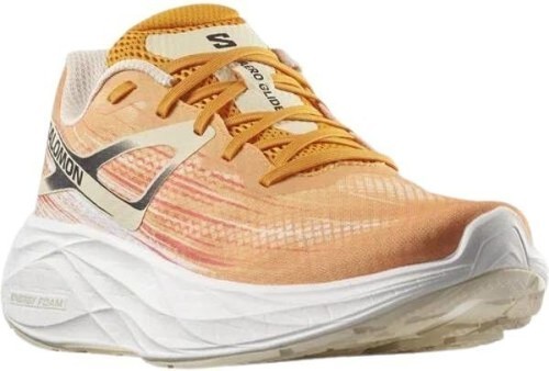 SALOMON-Aero Glide-1
