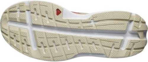 SALOMON-Aero Glide-2