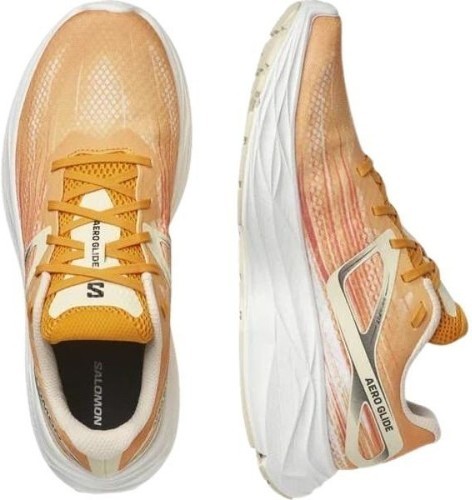 SALOMON-Aero Glide-3