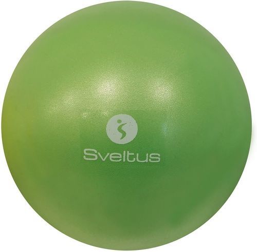 SVELTUS-Ballon Pedagogique --0