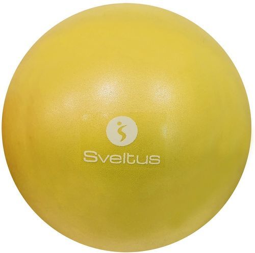 SVELTUS-Ballon Pedagogique --0