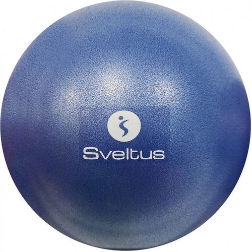 SVELTUS-Ballon Pedagogique --0
