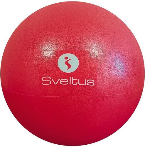 SVELTUS-BALLON PEDAGOGIQUE-image-1