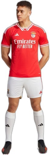 adidas Performance-Short Domicile Benfica 23/24-2