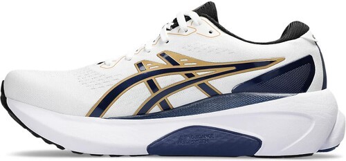 ASICS-Gel-Kayano 30 Anniversary-2