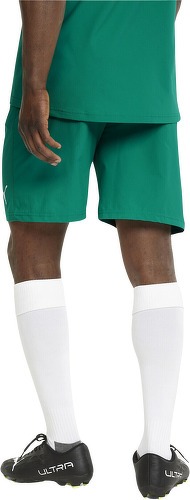 PUMA-Teamfinal Shorts-3