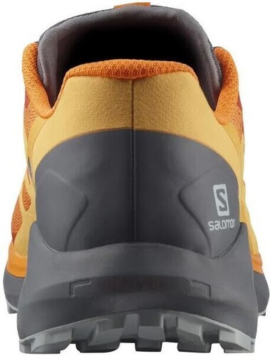 SALOMON-Sense Ride 4-4