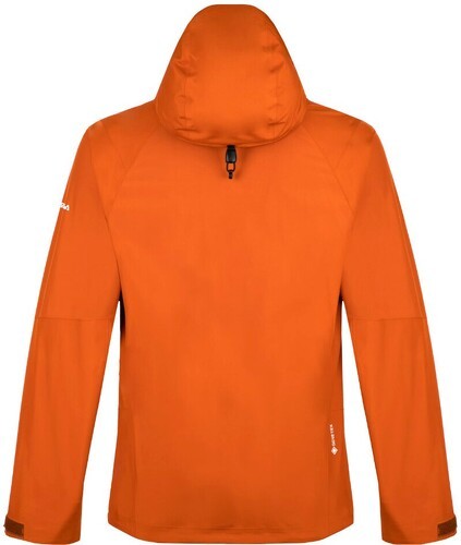 SALEWA-Giacca Sci PUEZ GTX PACLITE M JACKET Uomo-1