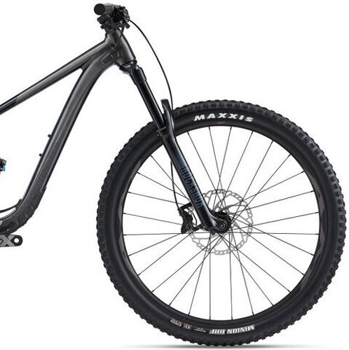 GIANT-Bike Trail TRANCE X 29 2-2