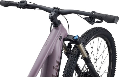 GIANT-Embolden E+ 2 - Vtt Électrique-3