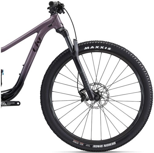 LIV-Vtt Pique 29 2-2
