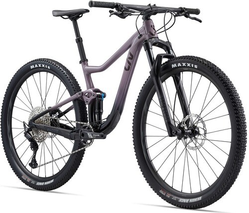 LIV-Vtt Pique 29 2-3
