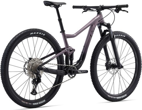 LIV-Vtt Pique 29 2-4